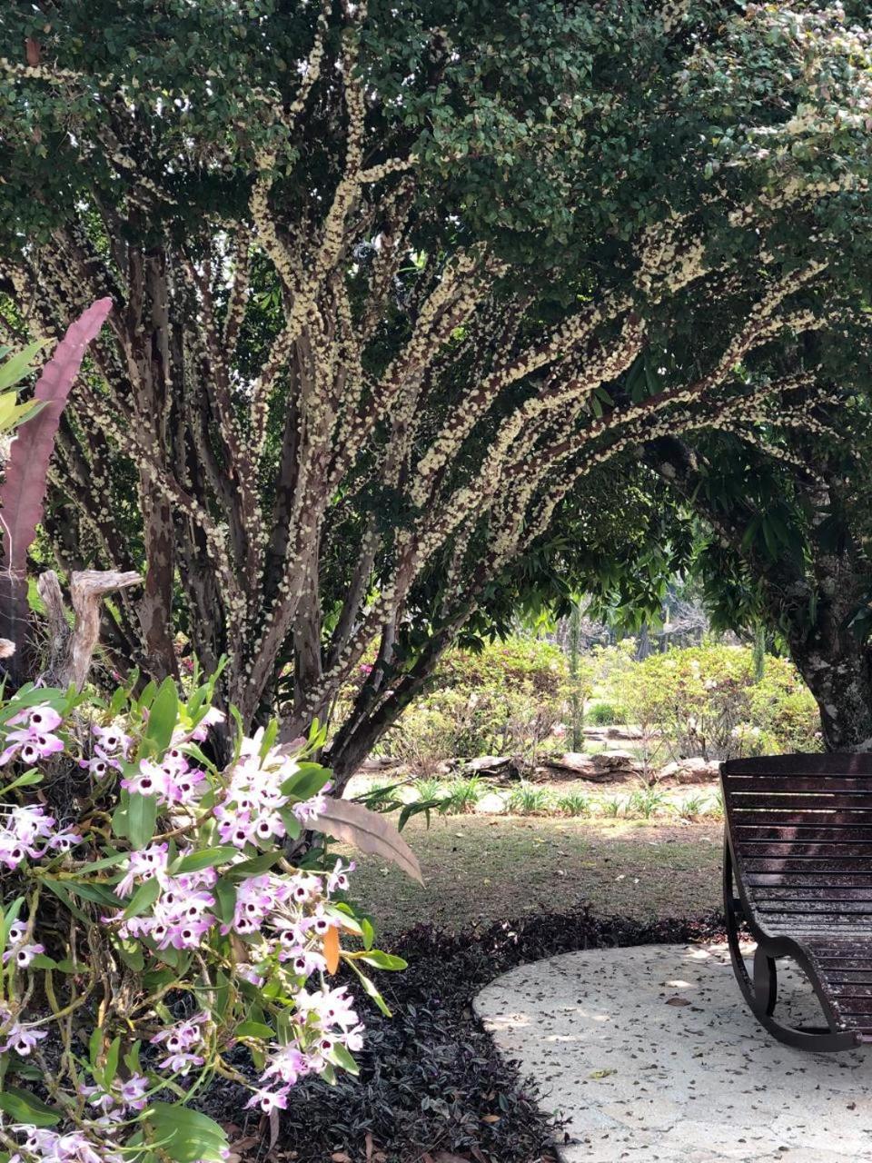 Reserva Querubins Andrelandia ภายนอก รูปภาพ